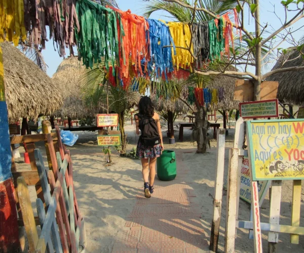 photo-1568845202757-758d20b83670